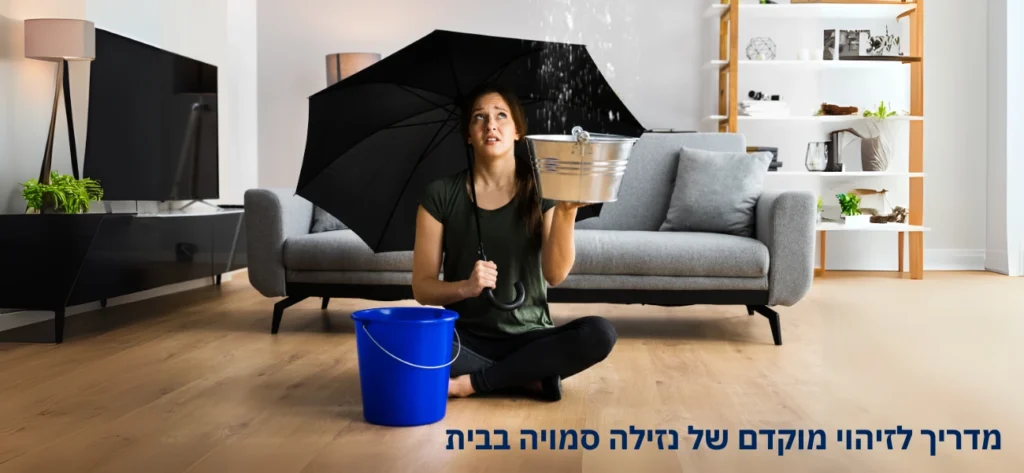 מדריך לזיהוי מוקדם של נזילה סמויה בבית